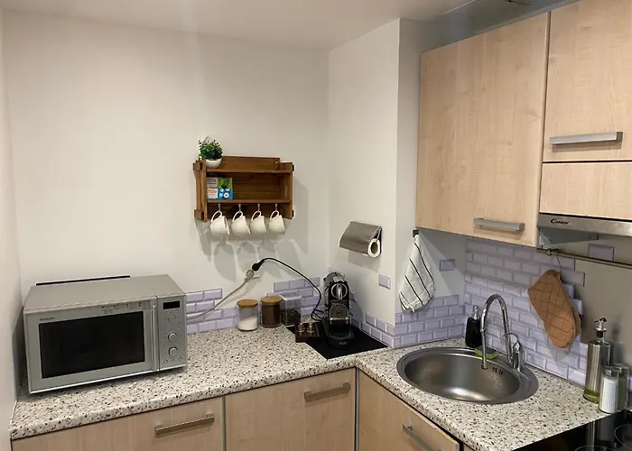 Cozy 2-Bedroom Penthouse In The Heart Of Tallinn